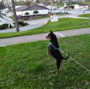 Meet your Posher, Elizabeth